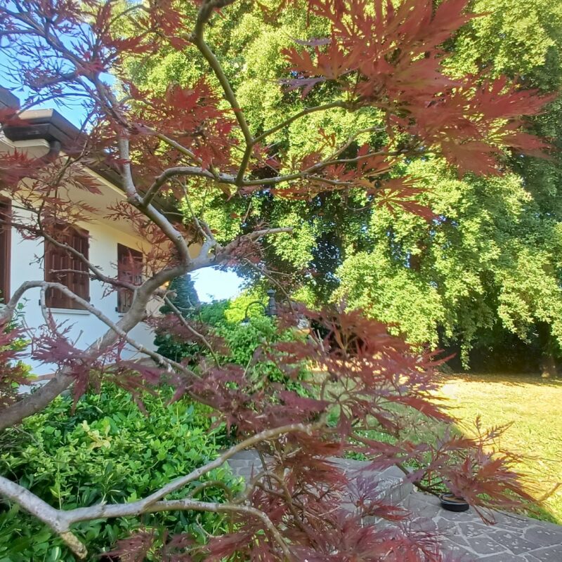 Pavia di Udine, villa signorile con giardino privato e accessori
